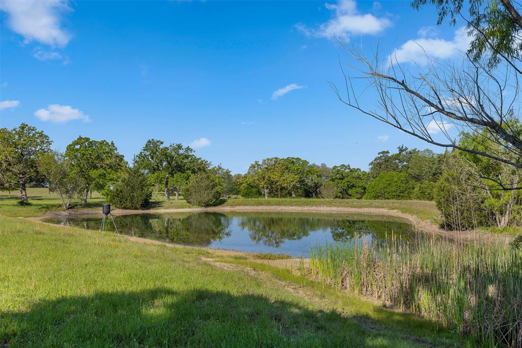 2730 Wunderlich Road, Fayetteville, Texas image 4