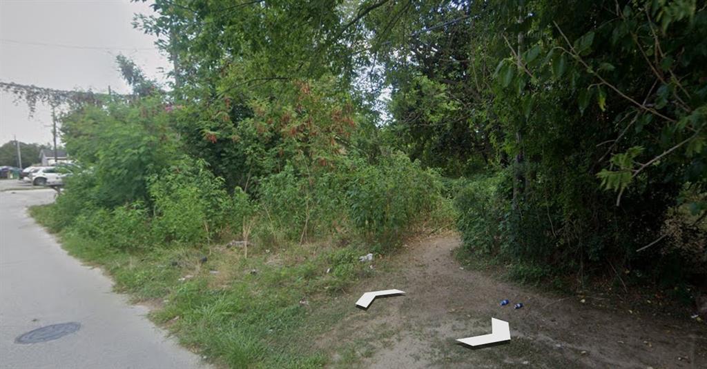 Myrtle Lane, Houston, Texas image 3