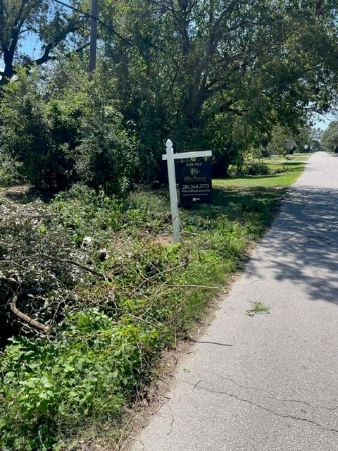 Myrtle Lane, Houston, Texas image 12