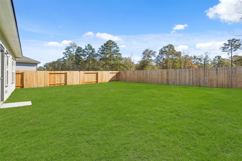 17018 Hazelnut Drive, Conroe, Texas image 25