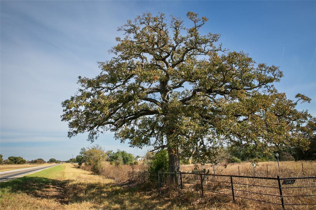 4254 Fm 180, Ledbetter, Texas image 1