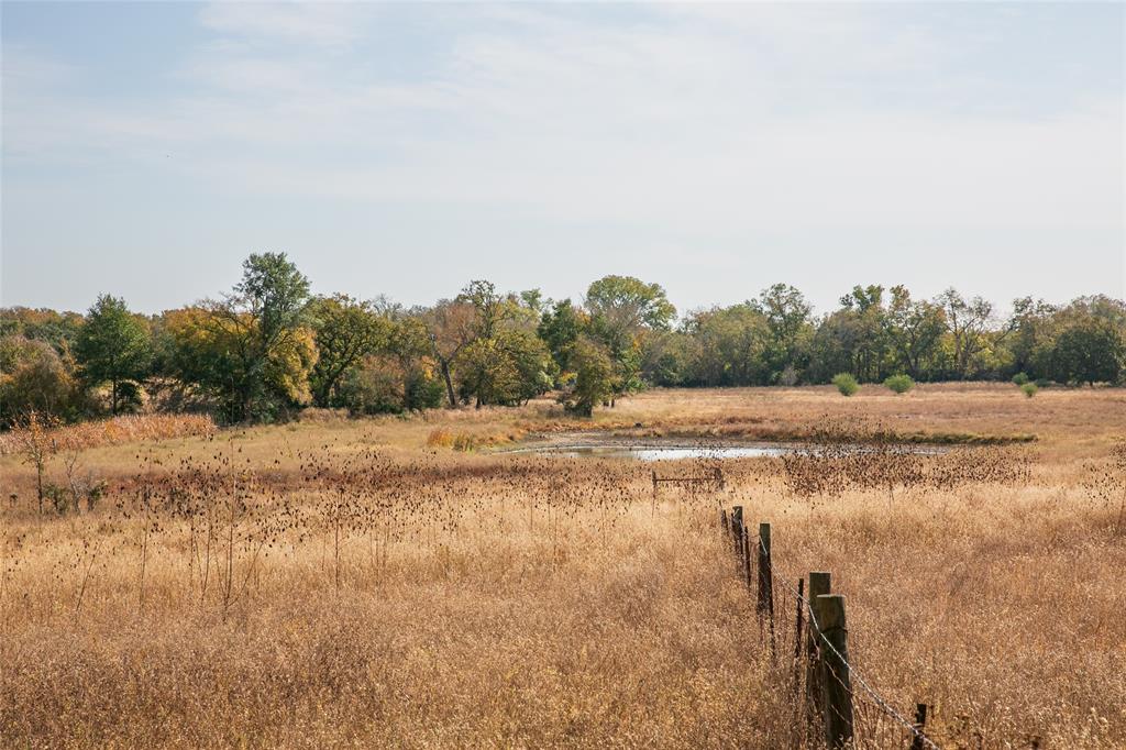 4254 Fm 180, Ledbetter, Texas image 14