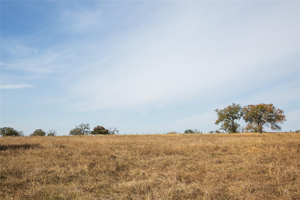 4254 Fm 180, Ledbetter, Texas image 5