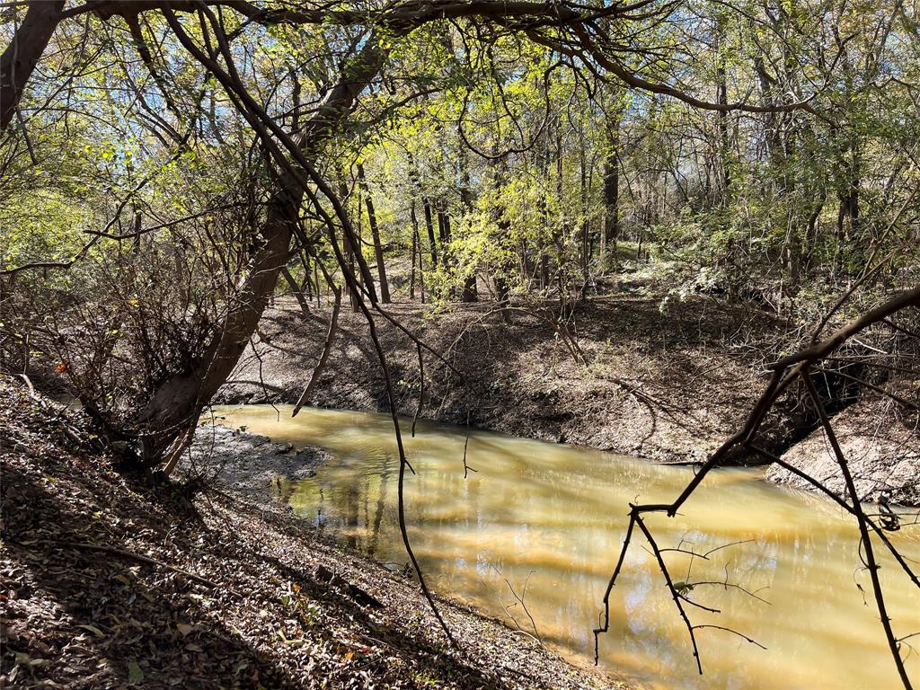 Na County Road 112, Centerville, Texas image 4