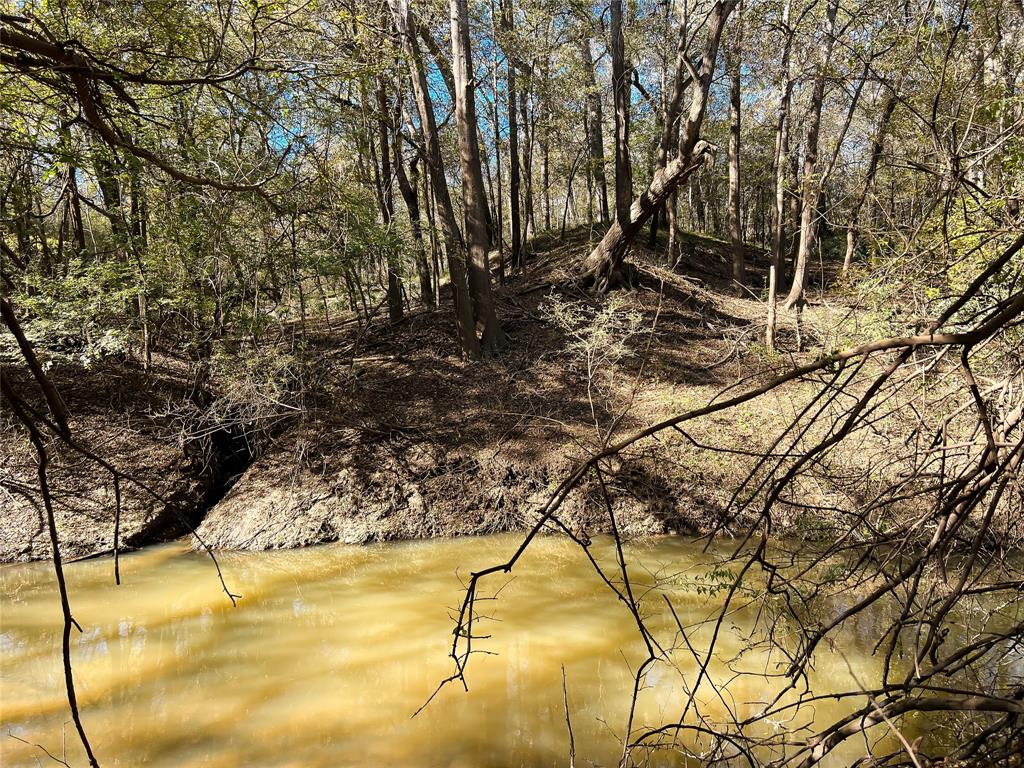 Na County Road 112, Centerville, Texas image 3