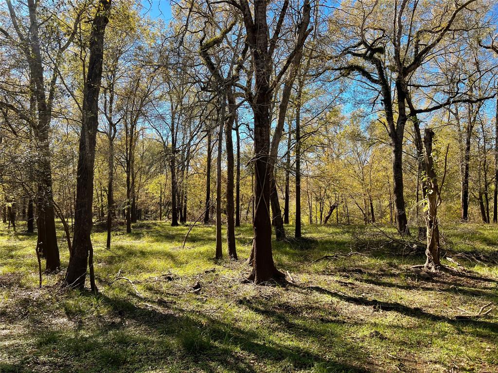 Na County Road 112, Centerville, Texas image 10