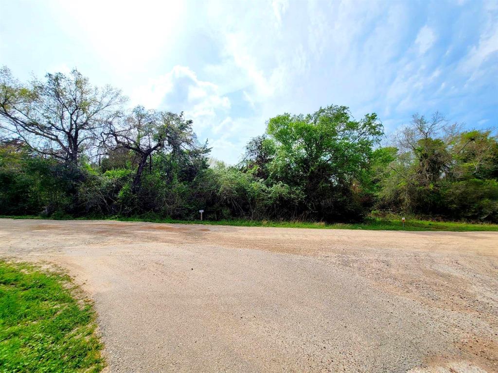 26480 Deerwood Drive, Hempstead, Texas image 9