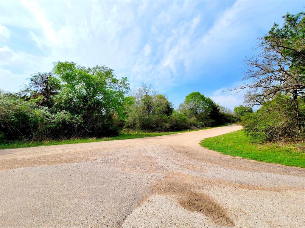 26480 Deerwood Drive, Hempstead, Texas image 8