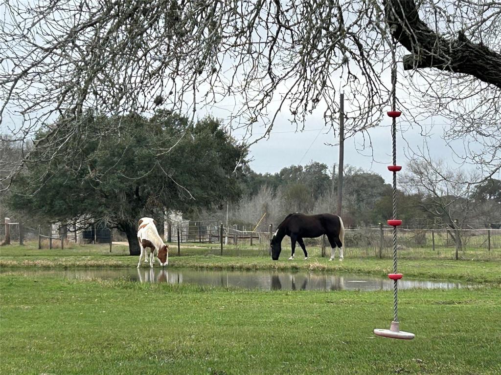 1065 Hoffman Lane, Alleyton, Texas image 3