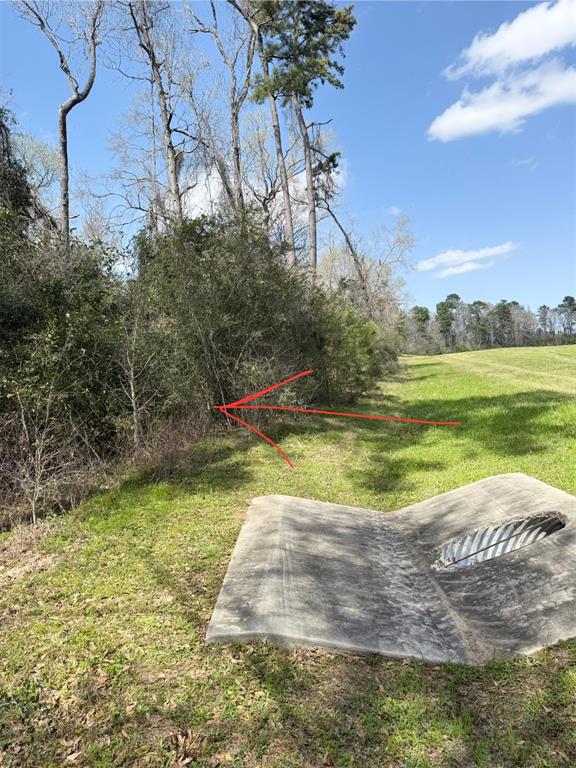 Rhodes Road, Spring, Texas image 11