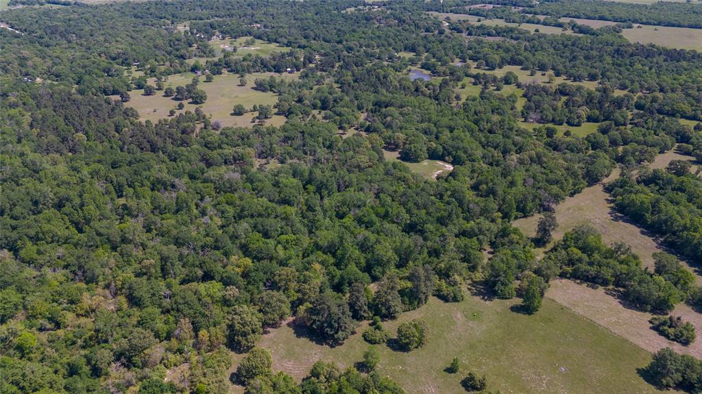 9832 Hawaii Lane, Midway, Texas image 40