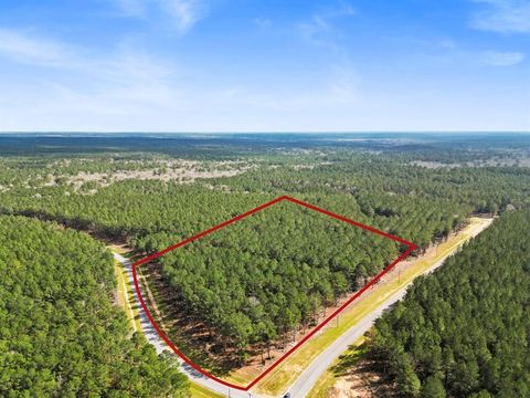 Photo of TBD Queen Anne, Huntsville, TX 77340 (MLS # 8352152)