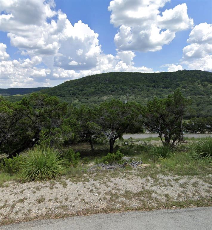 659 Contour Drive, Canyon Lake, Texas image 1