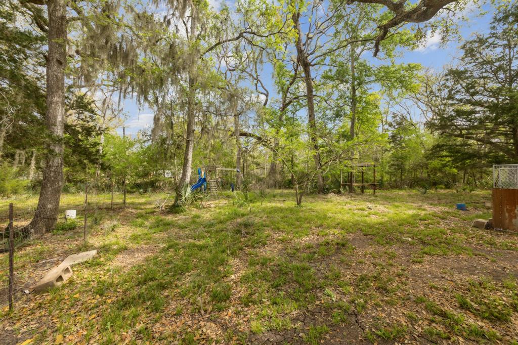 17968 County Road 426, Brazoria, Texas image 12