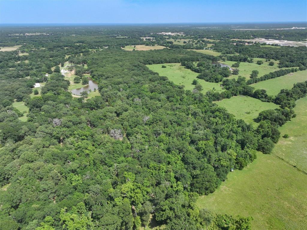 1829 Vz County Road 1810, Grand Saline, Texas image 7