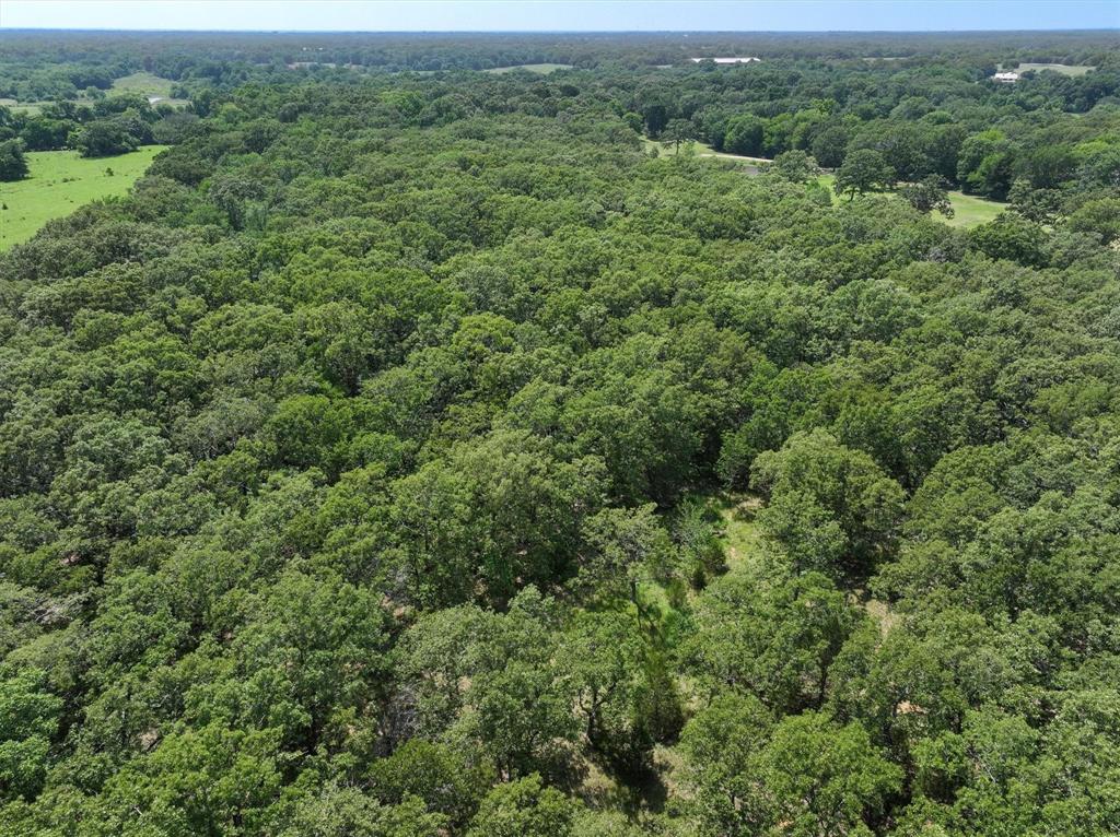 1829 Vz County Road 1810, Grand Saline, Texas image 5