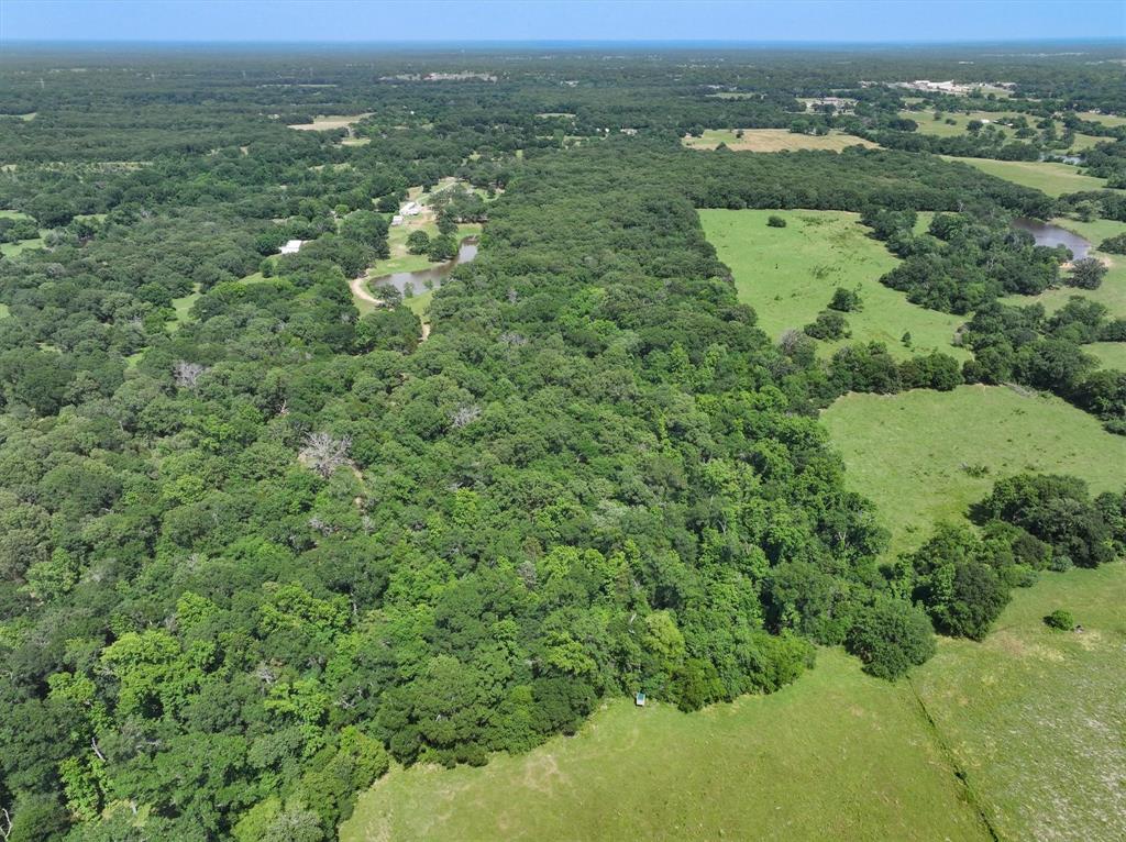 1829 Vz County Road 1810, Grand Saline, Texas image 6