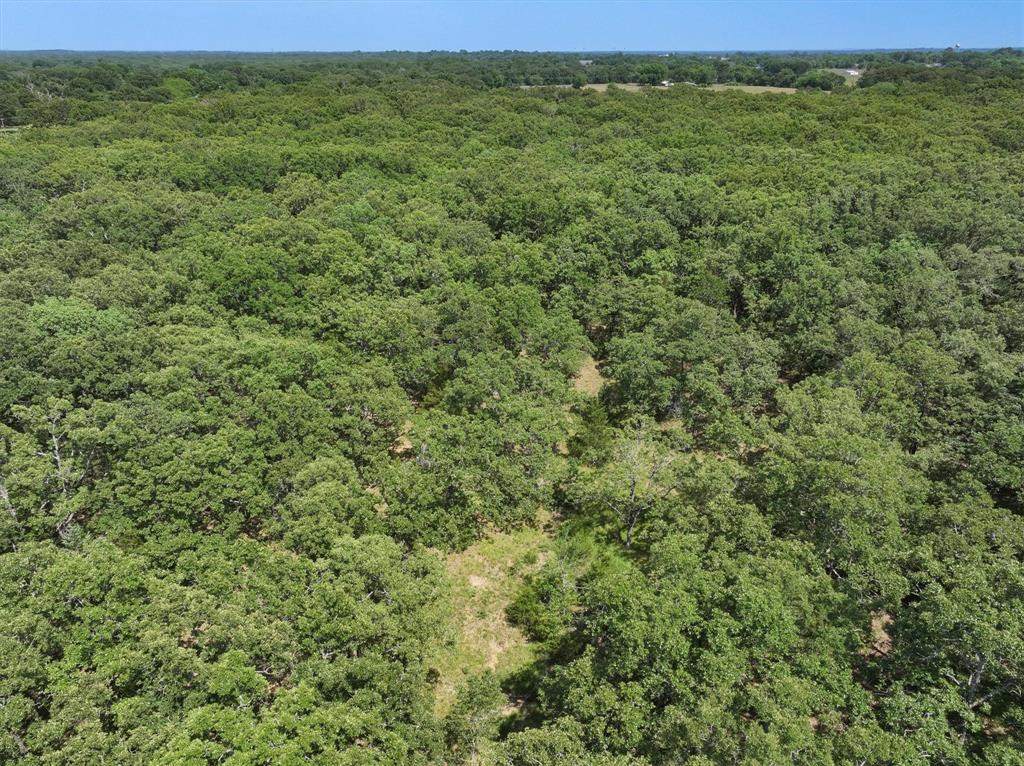 1829 Vz County Road 1810, Grand Saline, Texas image 10
