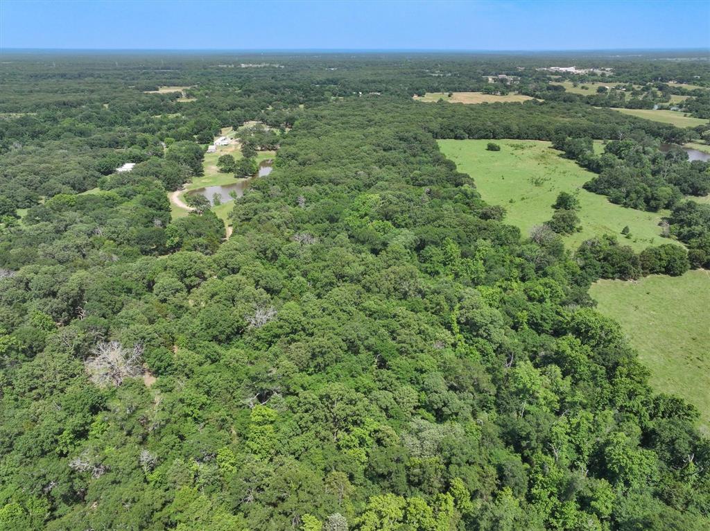 1829 Vz County Road 1810, Grand Saline, Texas image 8