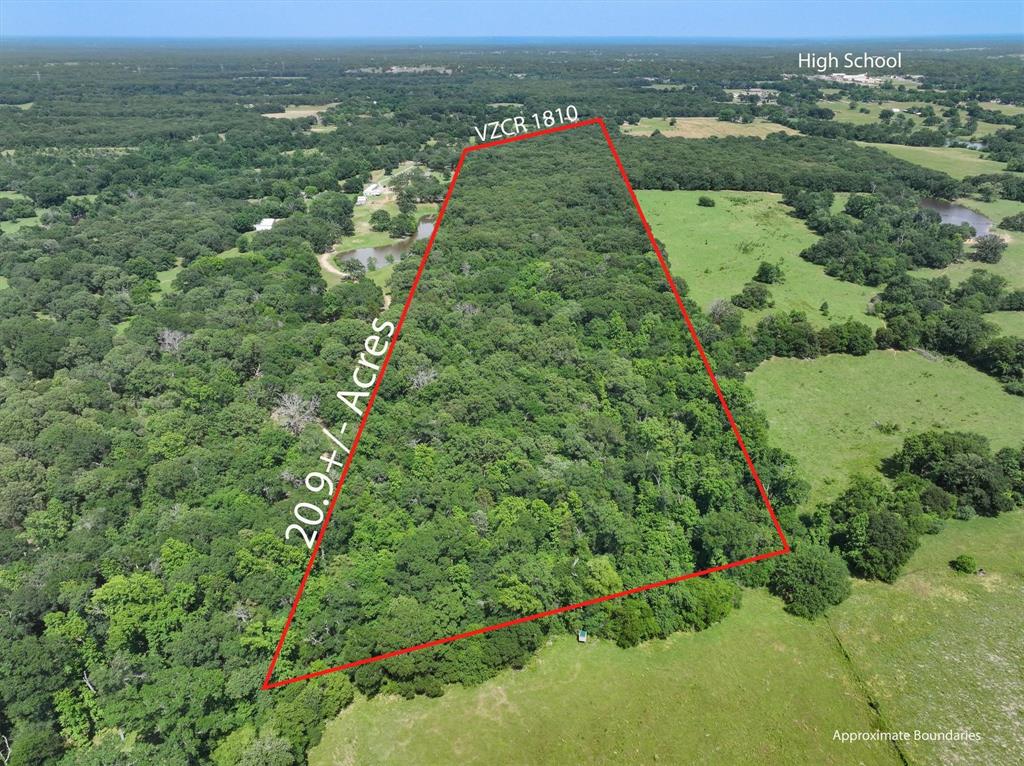 1829 Vz County Road 1810, Grand Saline, Texas image 11