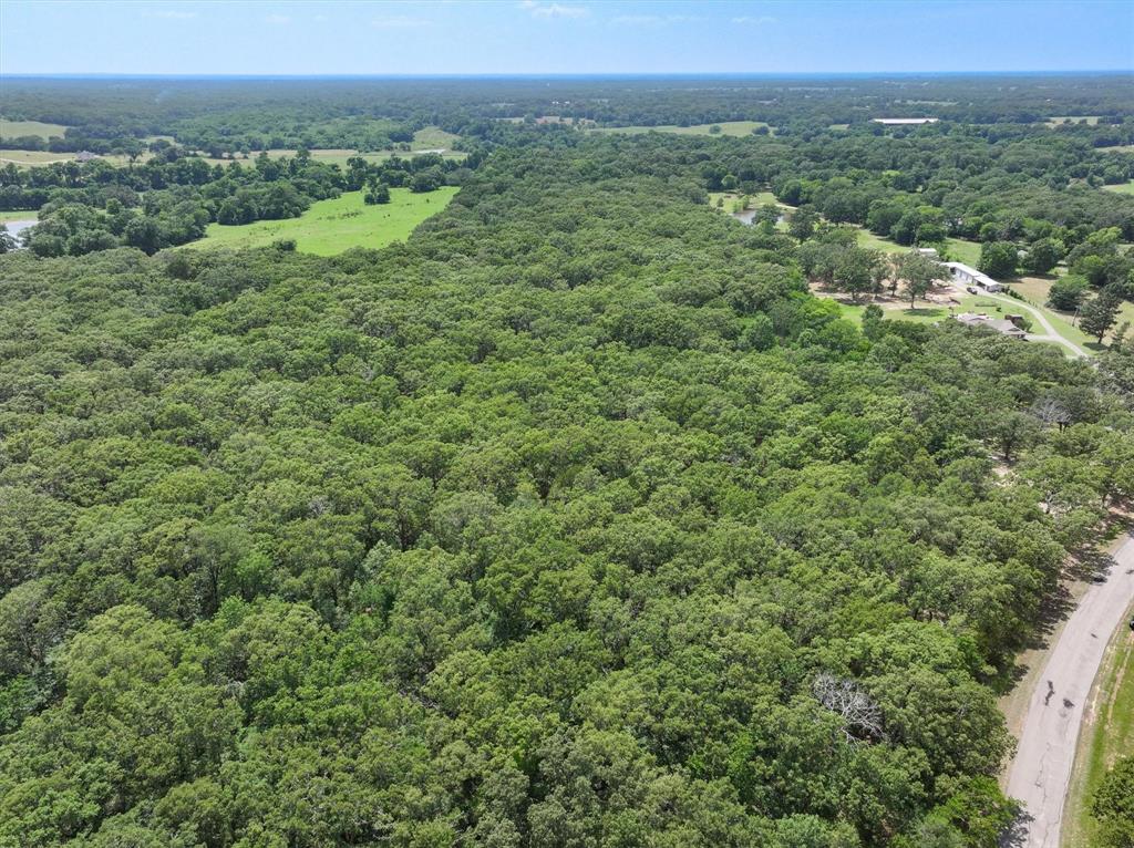 1829 Vz County Road 1810, Grand Saline, Texas image 4