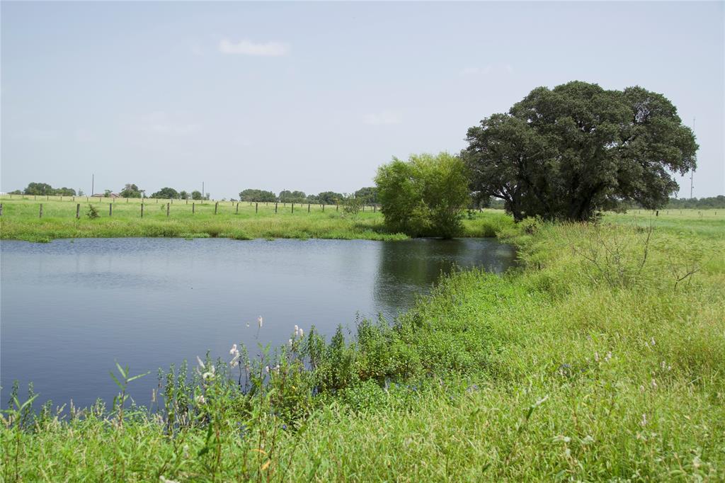 TBD County Road 408, Somerville, Texas image 8
