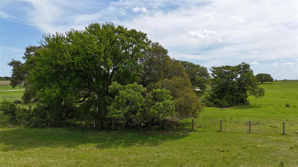 TBD County Road 408, Somerville, Texas image 6
