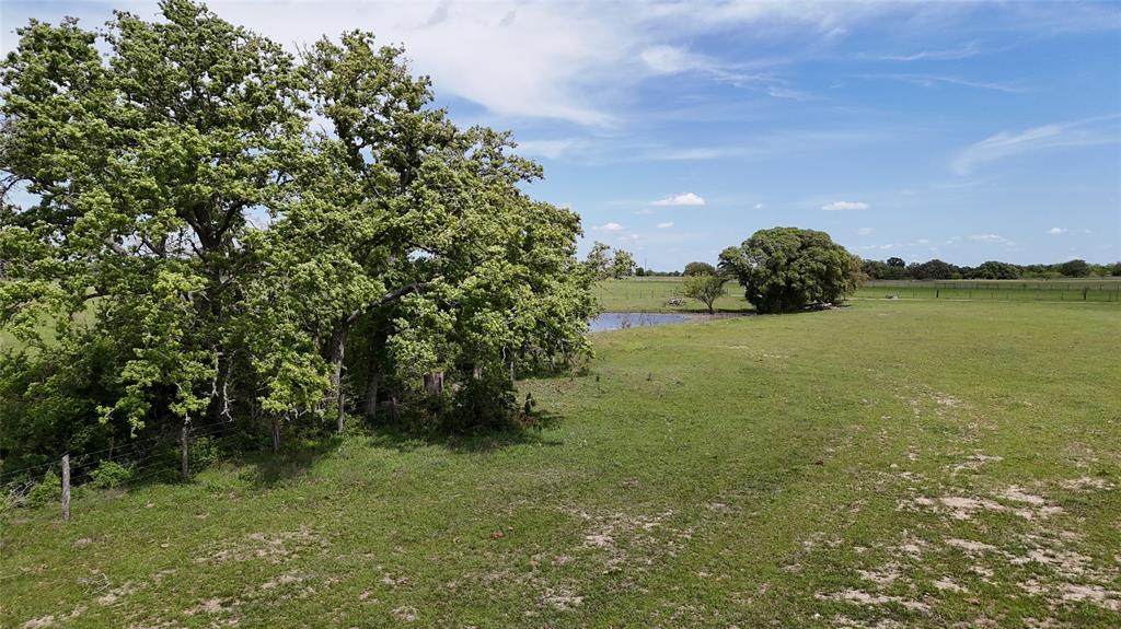 TBD County Road 408, Somerville, Texas image 5
