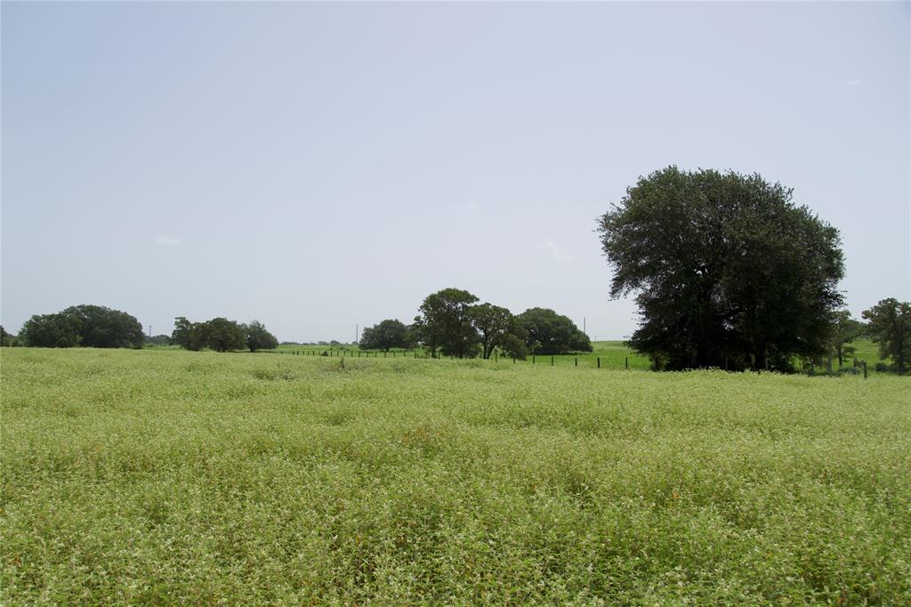 TBD County Road 408, Somerville, Texas image 9