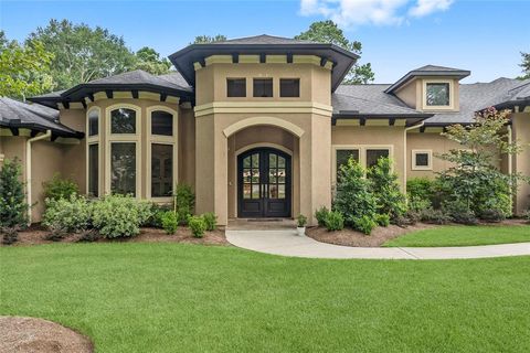 4103 Tee Tree Court Spring TX 77386