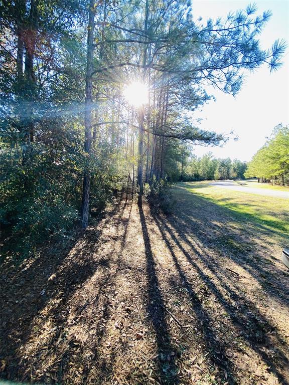 9456 Parkview Drive, Waller, Texas image 3