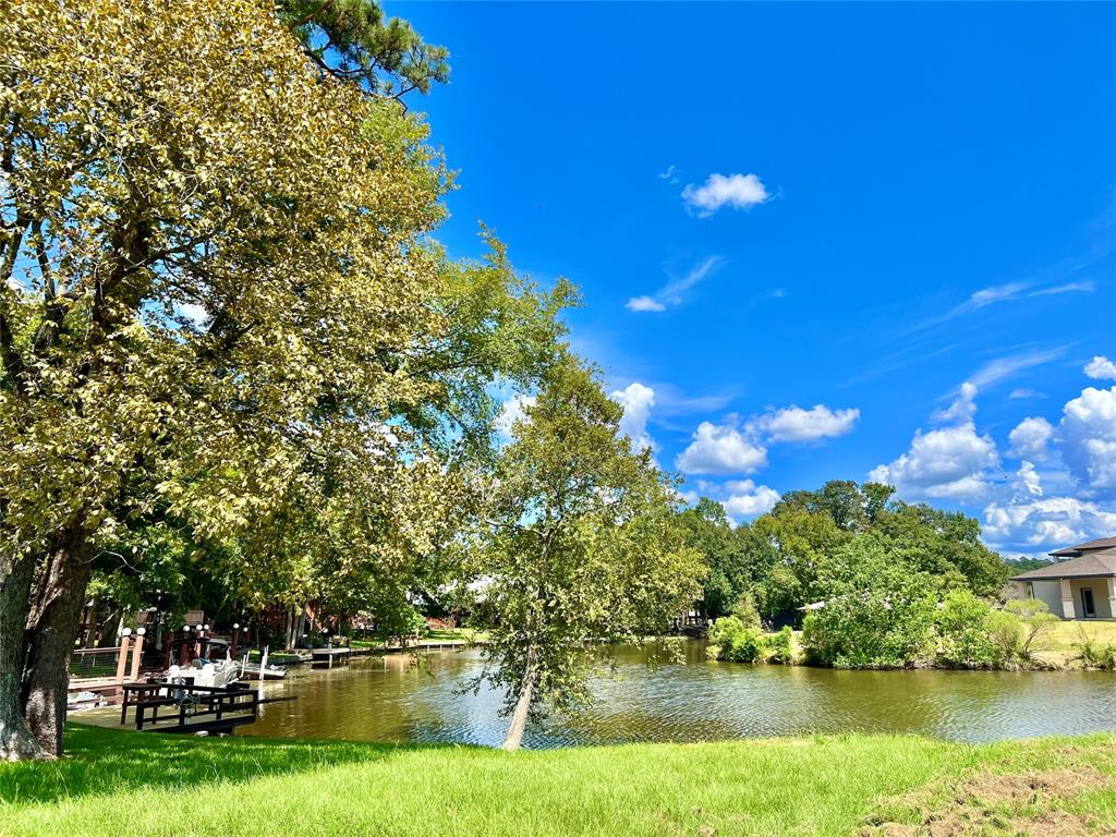 7 Cypress Bend, Huntsville, Texas image 1