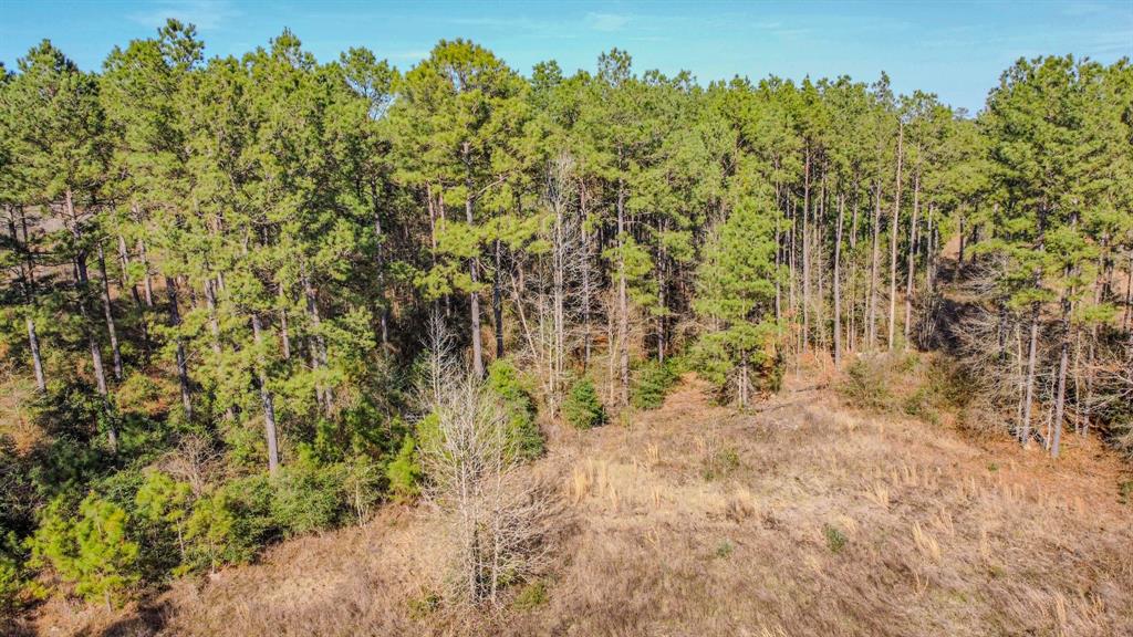 477 County Line Road, Shepherd, Texas image 8