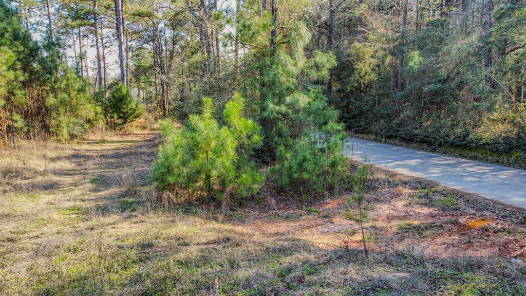 477 County Line Road, Shepherd, Texas image 10