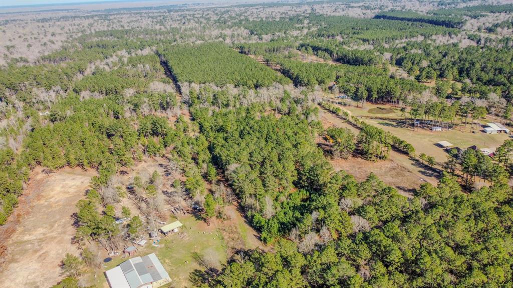 477 County Line Road, Shepherd, Texas image 2