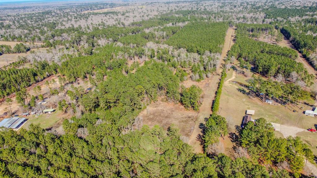 477 County Line Road, Shepherd, Texas image 4