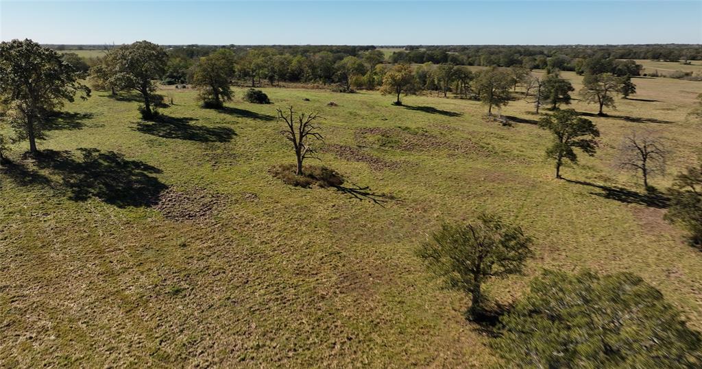 9645 Fm-1428, Midway, Texas image 18