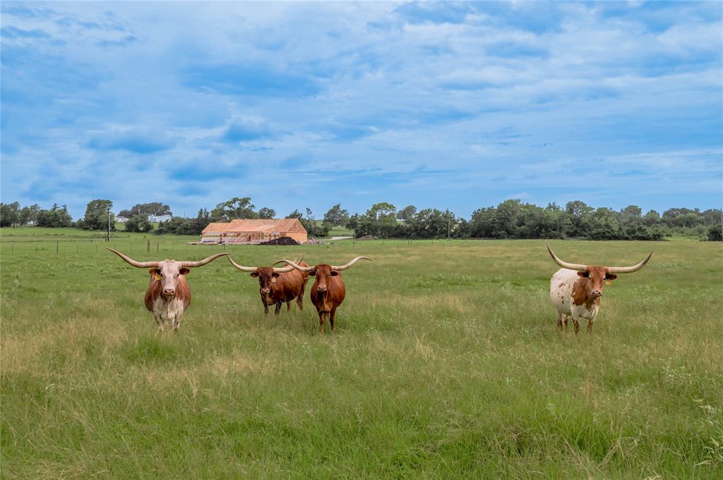 7825 Cr 217, Richards, Texas image 5