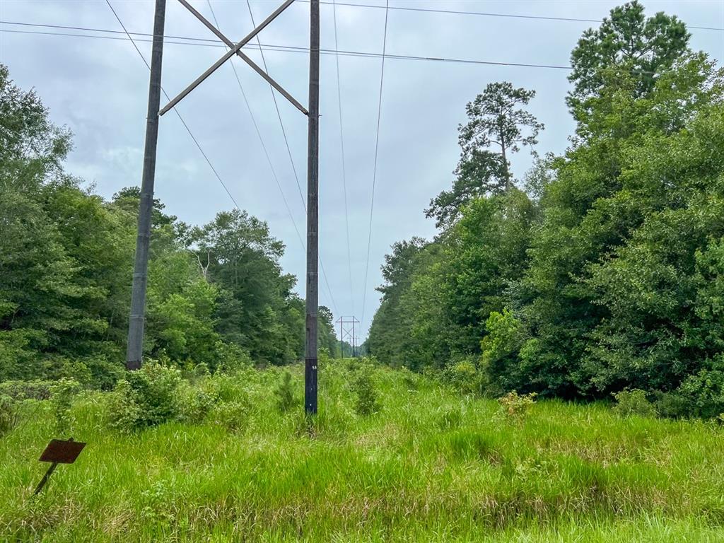 Us Highway 96, Kirbyville, Texas image 3