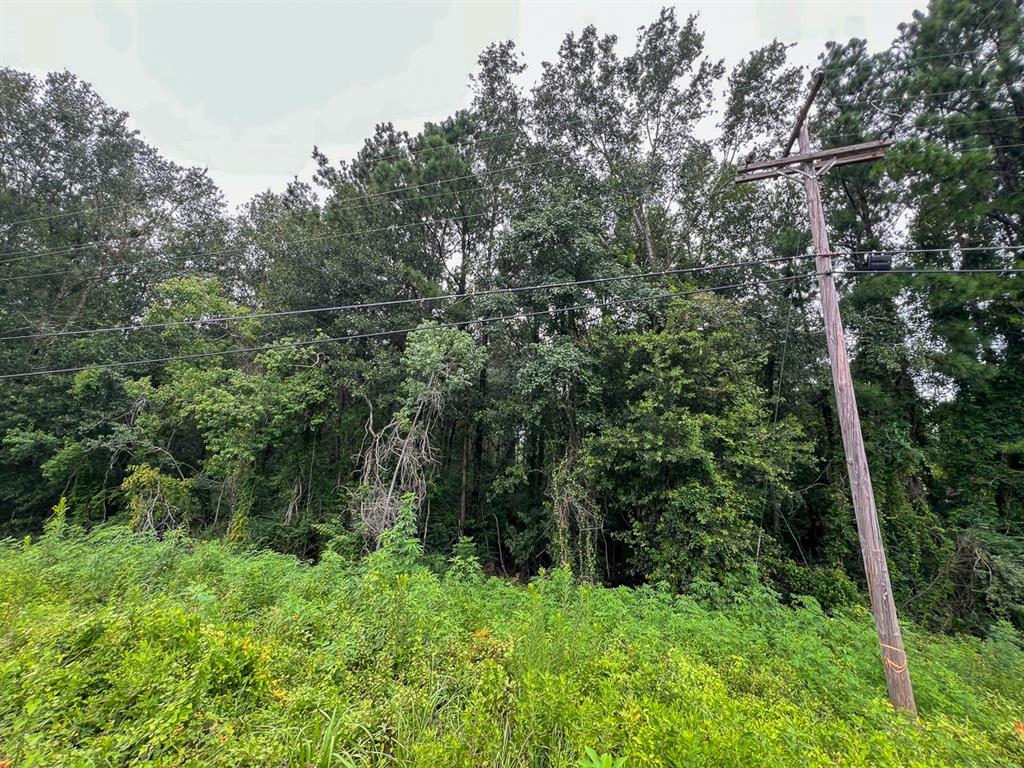 Us Highway 96, Kirbyville, Texas image 7