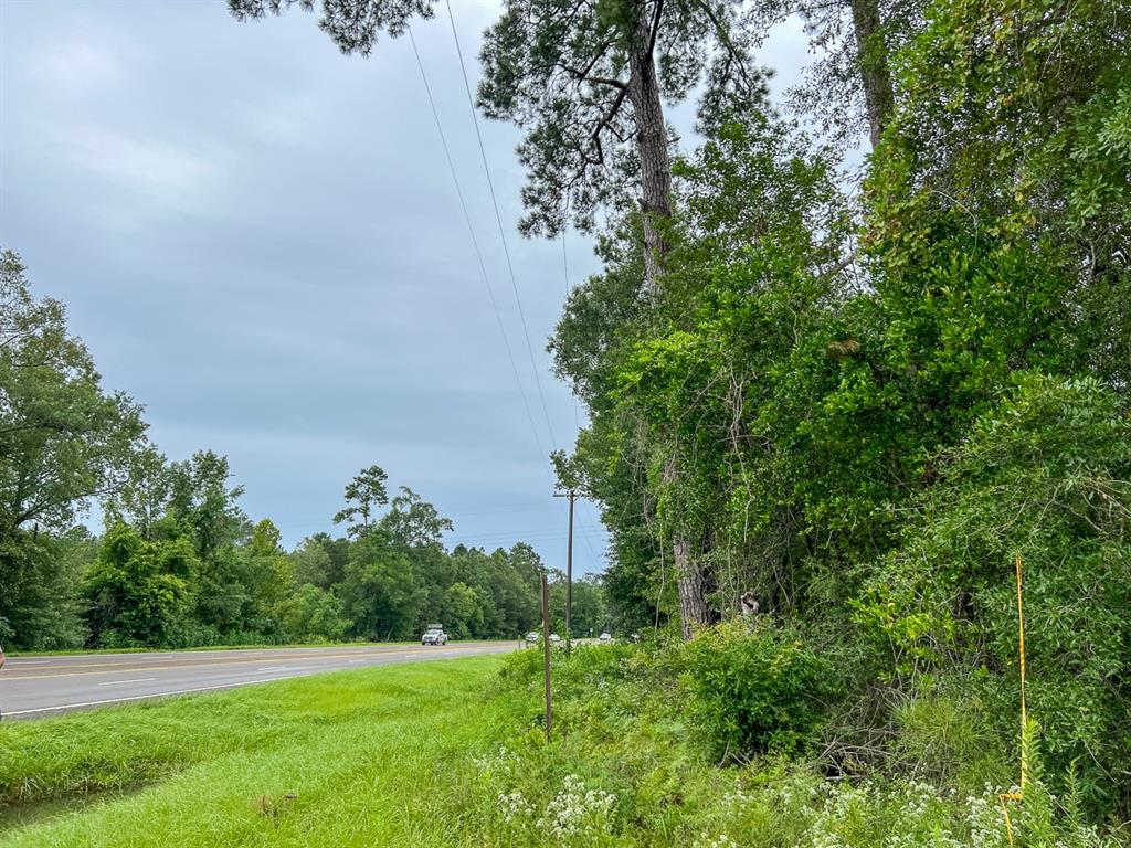 Us Highway 96, Kirbyville, Texas image 11