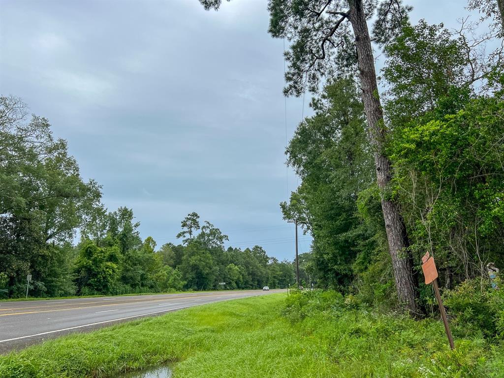 Us Highway 96, Kirbyville, Texas image 12