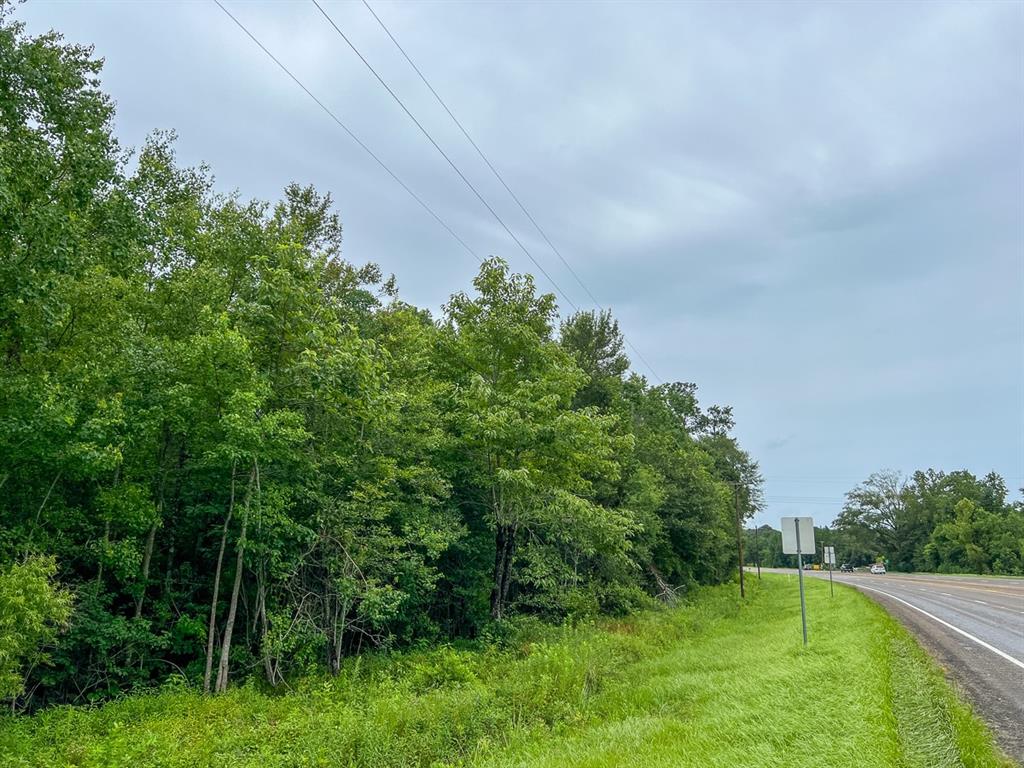 Us Highway 96, Kirbyville, Texas image 5