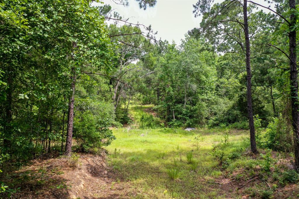 18.897 Ac Cr 1050, Crockett, Texas image 5