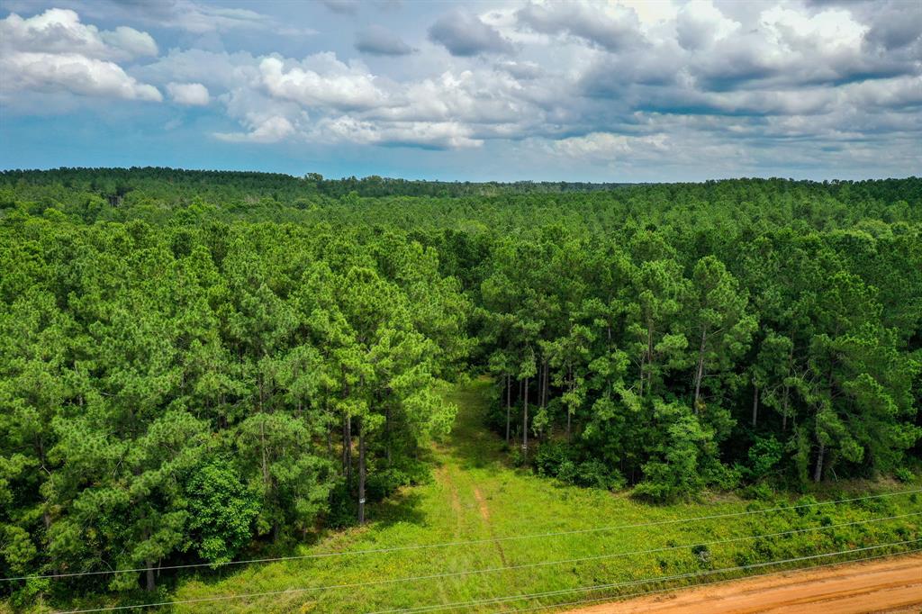 18.897 Ac Cr 1050, Crockett, Texas image 2