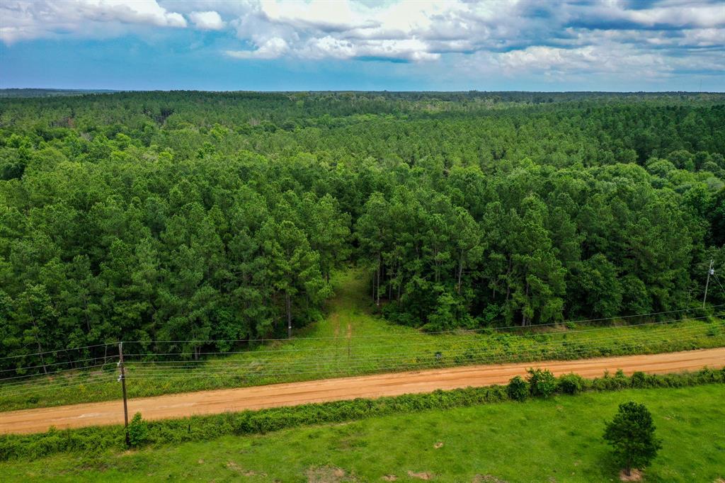 18.897 Ac Cr 1050, Crockett, Texas image 15