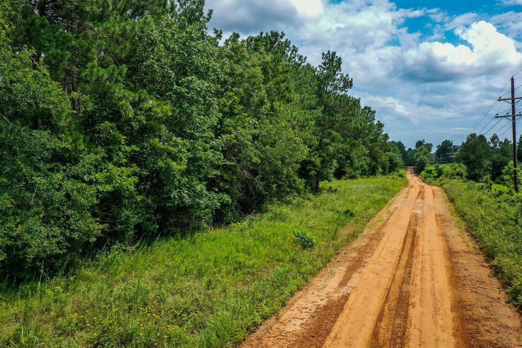 18.897 Ac Cr 1050, Crockett, Texas image 4