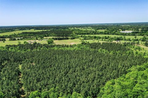 Vacant Land For Sale - 18.897 AC Cr 1050<br/> Walker County, Crockett, TX 75835