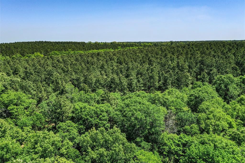 18.897 Ac Cr 1050, Crockett, Texas image 14