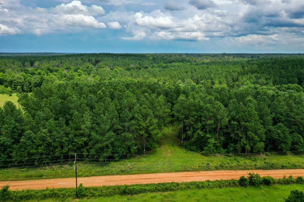 18.897 Ac Cr 1050, Crockett, Texas image 10